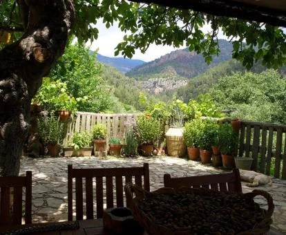 Terraza con maravillosas vistas a la naturaleza de este hotel solo para adultos.