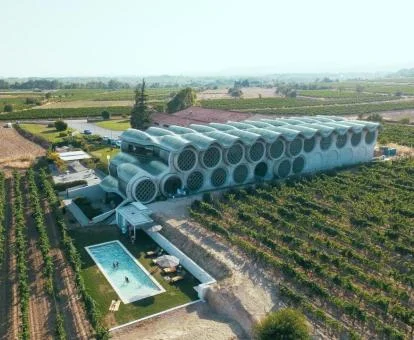 Espectacular edificio de este hotel rodeado de viñedos.