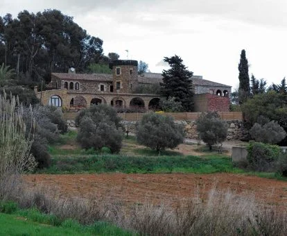 Hermoso hotel rural rodeado de vegetación en un tranquilo entorno para explorar.