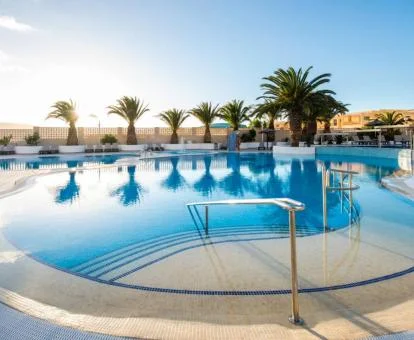 Amplia piscina exterior con tumbonas y palmeras de este hotel solo para adultos.