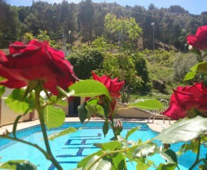 Amplia piscina exterior de este complejo de apartamentos.