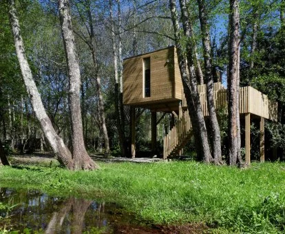 Preciosa Cabaña de Arturo de este establecimiento de cabañas en los árboles.
