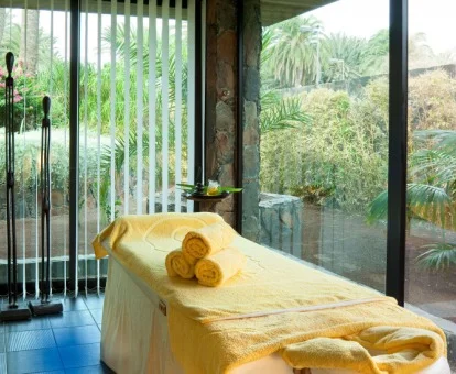 Sala para masajes y tratamientos del centro de bienestar del hotel con vistas al jardín.