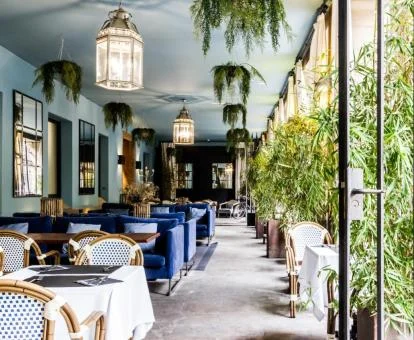 Elegante zona de estar compartida con vegetación de este hotel con encanto.