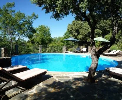 Maravillosa piscina rodeada de naturaleza de este precioso hotel rural.