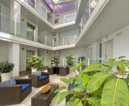 Agradable patio con mobiliario de este acogedor hotel boutique.