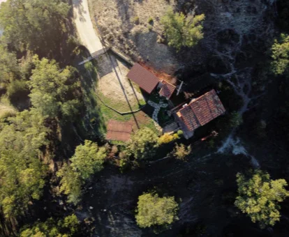 Vista aérea de este establecimiento rural rodeado de vegetación.