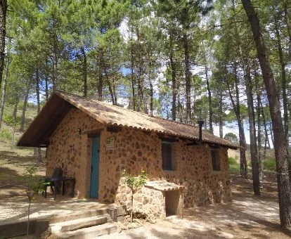 Acogedora casa rural independiente de piedra en medio del bosque.