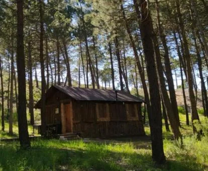 Preciosa casa en la naturaleza ideal para parejas.