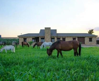 Edificio de este establecimiento rural con sus caballos pastando libremente.