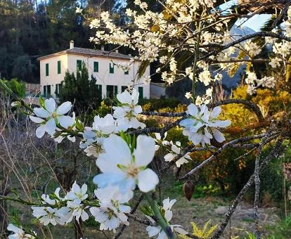 Edificio de este agroturismo en un tranquilo entorno rural rodeado de naturaleza.