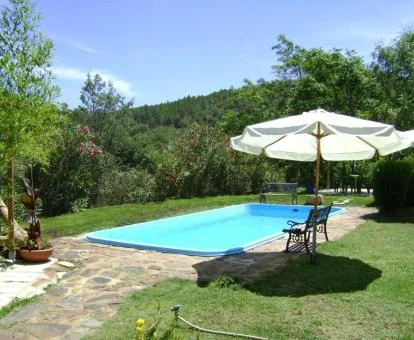 Zona exterior con piscina rodeada de naturaleza de este hotel rural.