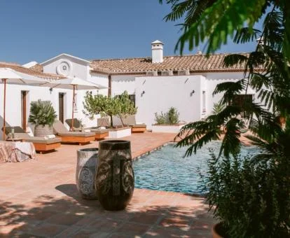 Agradable zona exterior con piscina y mobiliario de este hotel boutique.