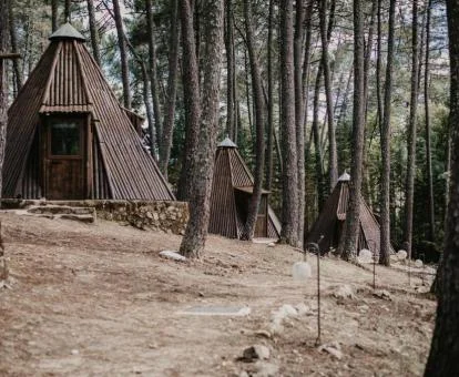 Tipis en medio del bosque de este establecimiento rural.