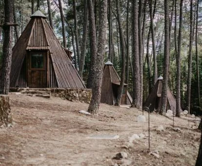 Tipis entre árboles de este coqueto establecimiento rural.