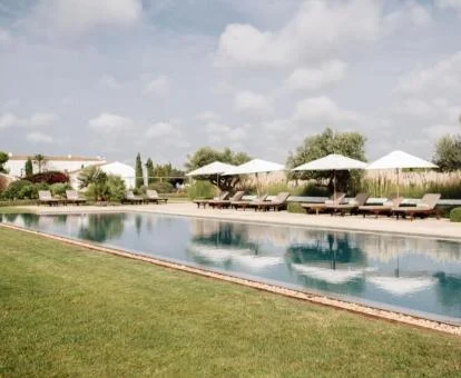 Fabulosa zona exterior con gran piscina rodeada de vegetación y solarium de este hotel.