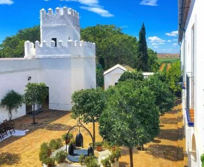 Patio interior con vegetación de este precioso cortijo.