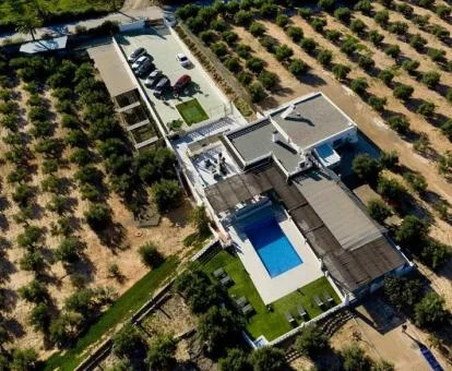 Vista aérea de este hotel romántico rodeado de viñedos.