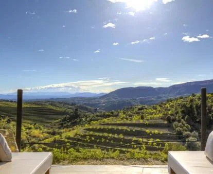 Terraza con espectaculares vistas a la naturaleza de este moderno hotel.