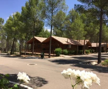 Complejo de cabañas en la naturaleza con centro de spa.