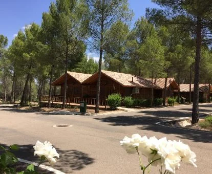 Establecimiento rural de cabañas independientes en un entorno natural para explorar.