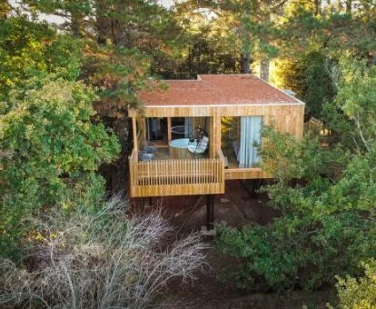 Una de las cabañas en los árboles con jacuzzi interior perfecta para parejas.