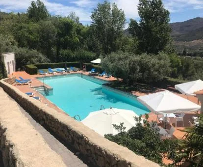 Agradable zona exterior con piscina rodeada de vegetación de este hotel boutique.