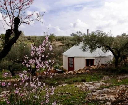 Coqueta yurta rodeada de naturaleza ideal para parejas que buscan una escapada especial.